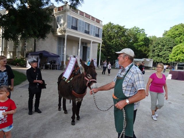 fete ane 2014 (13).jpg